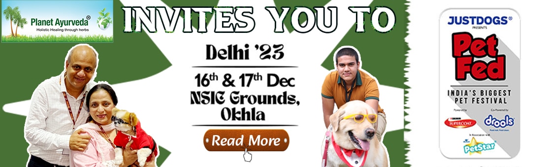 Pet Fed – India’s Biggest Pet Festival Pet Fed, NSIC Grounds, Okhla, India's Biggest Pet Festival, Just Dogs, Drools, Petstar, Planet Ayurveda