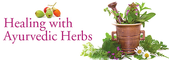 holistic-healing-with-ayurvedic-herbs