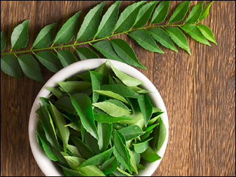 Curry Leaves Curry Leaves