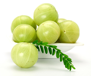 Amla