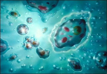 Pravahika (Amoebiasis) Pravahika, Amoebiasis