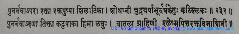 Ancient Verse about Boerhavia Diffusa Ancient Verse about Boerhavia Diffusa