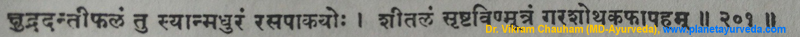 Ancient verse about Danti