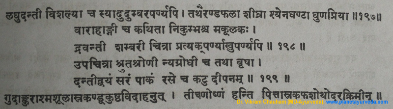 Ancient verse about Danti Ancient verse about Danti