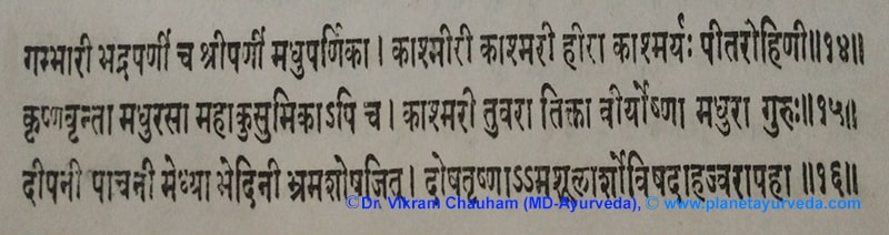 Ancient Verse about Gmelina arborea Ancient Verse about Gmelina arborea