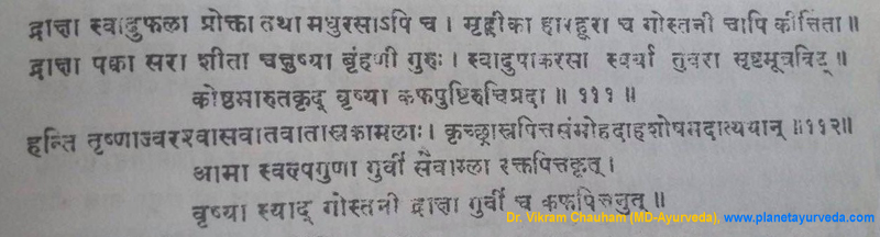 Ancient verse about Vitis vinifera Ancient verse about Vitis vinifera