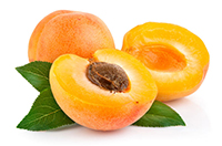 Apricots Apricots