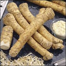 Horseradish (Armoracia rusticana) Horseradish, Armoracia rusticana
