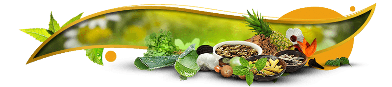Ayurveda Ayurveda, Medical Tourism