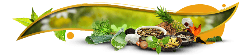 Planet Ayurveda in Slovakia, Planet Ayurveda in Czech Republic