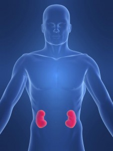 Ayurvedic Treatment for End Stage Renal Disease, Kidney Failure