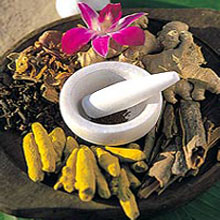 Ayurveda - The Traditional Medicine of India Ayurveda - The Traditional Medicine of India