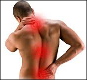 Back Pain Back Pain