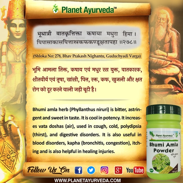 Classical Reference of Bhumi Amla Classical Reference of Bhumi Amla