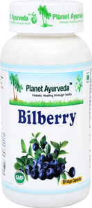 Bilberry Capsules