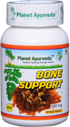 Bone Support