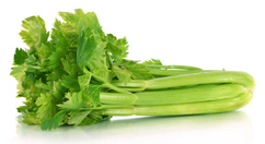 Celery Celery
