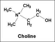 Choline