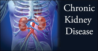 kidney treatment in ayurveda