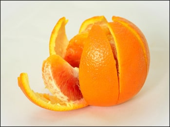 Orange Peel (Citrus aurantium) Orange Peel, Citrus aurantium