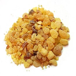 Myrrh Gum (Commiphora myrrha) Myrrh Gum, Commiphora myrrha