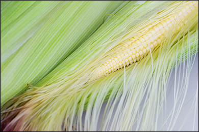 Corn Silk Corn Silk