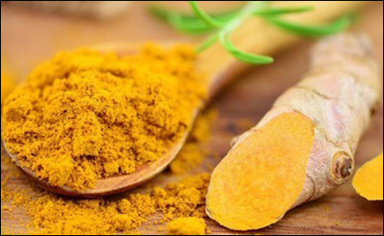 Curcuma Long Curcuma Long