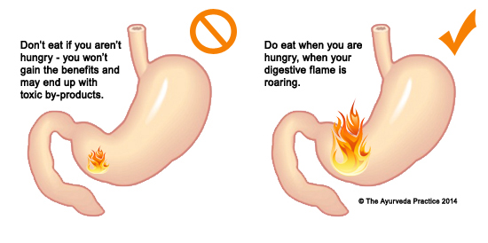 Digestive Fire (Agni) digestive-fire-agni