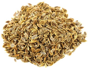Dill, Anethumn Sowa
