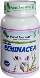 Echinacea Capsules