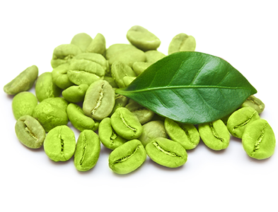 Green Coffee Bean Green Coffee Bean