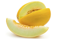 Honeydew Melon