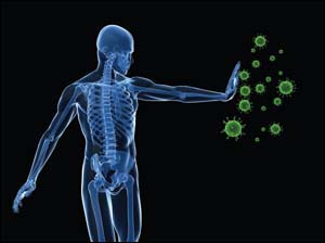 healthy immune system