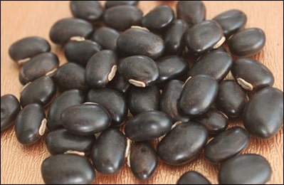 Mucuna Pruriens, Kaunch Beej