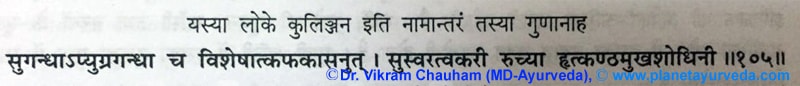 Ancient verse about Alpinia Galanga