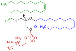 Lecithin