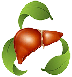 Liver Detoxification