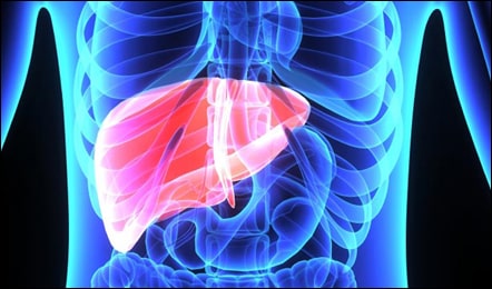 Diet Chart For Liver Infection