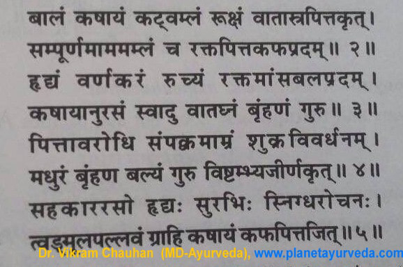 Ancient verse about Mangifera indica - 2