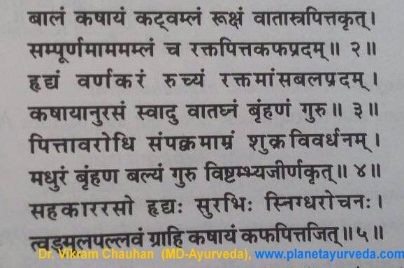 Ancient verse about Mangifera indica - 2