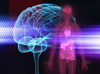 How does Ayurveda view the Mind-Body Connection?