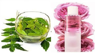 Neem and Rose Water Pack