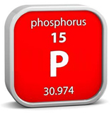 Phosphorous