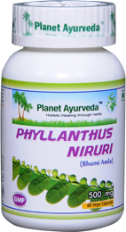 Phyllanthus niruri Capsules Price