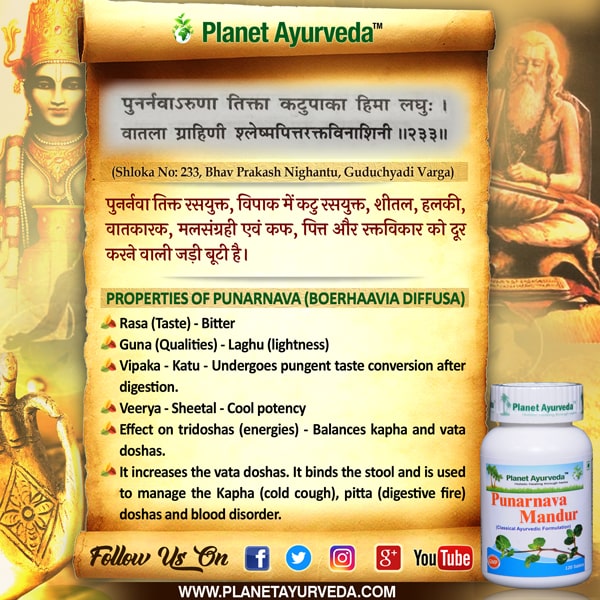 Classic Reference of Punarnava Classic Reference of Punarnava