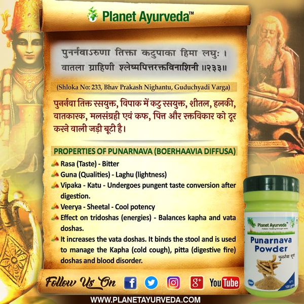 Classic Reference of Punarnava Classic Reference of Punarnava