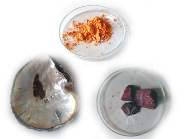 Rasa-shastra in Ayurveda rasa-shastra-in-ayurveda
