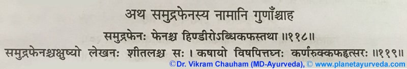 Ancient verse about Samudra Fen (Sepia officinalis)