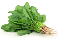 Spinach Spinach