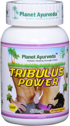 Tribulus Power Capsules